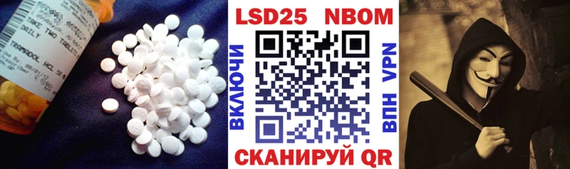 Купить Кондопога Лсд 25 экстази ecstasy